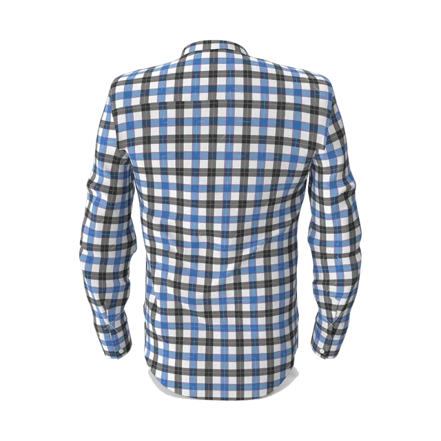 Town Team gingham Oxford shirt in blue and black, back