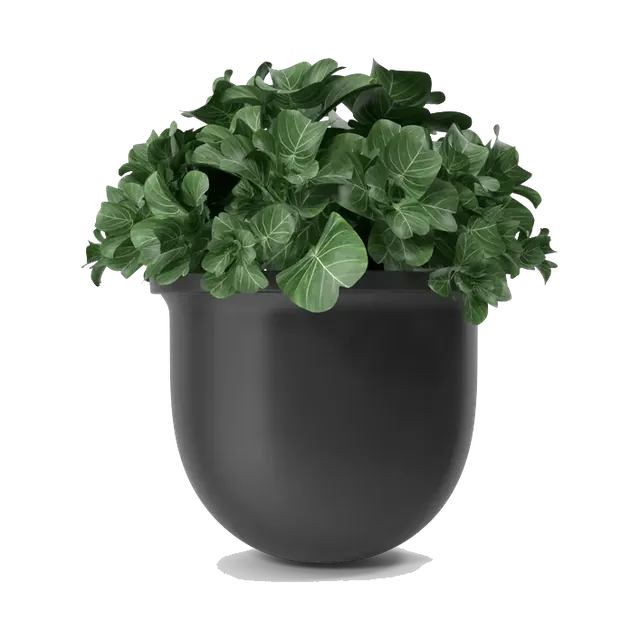 Round-leaf artificial plant in a matte black planter, angled view