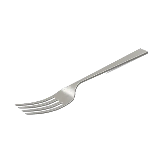 Zahran stainless steel dinner fork