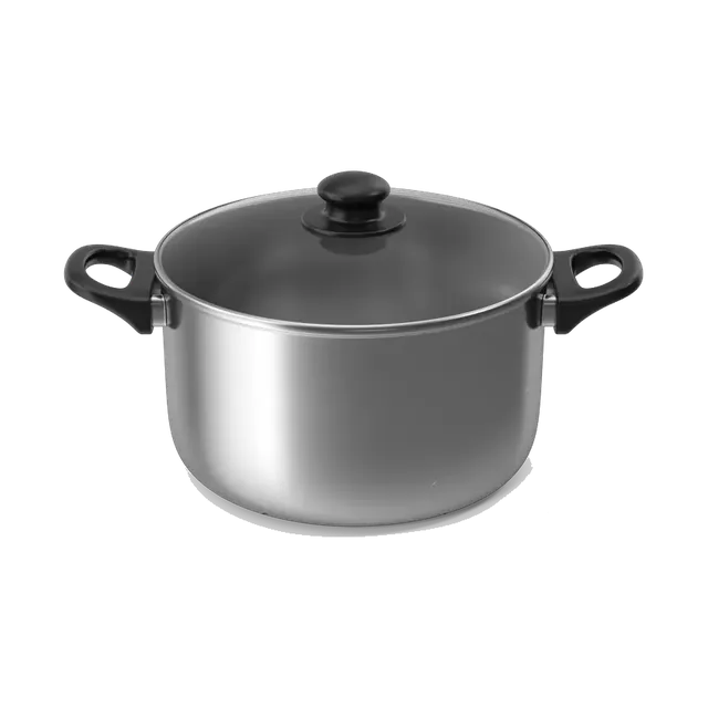 Zahran stainless steel pot with a glass lid