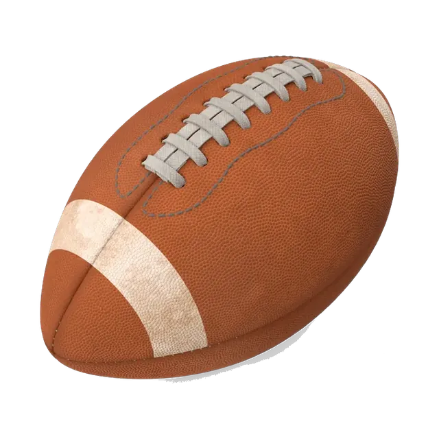 Brown Wilson American football with white stripes