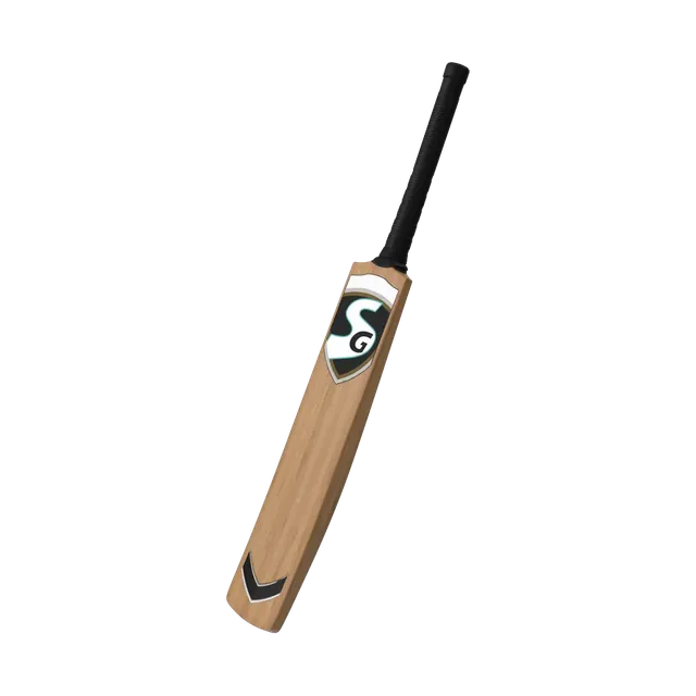 SG Kashmir willow cricket bat with a black grip