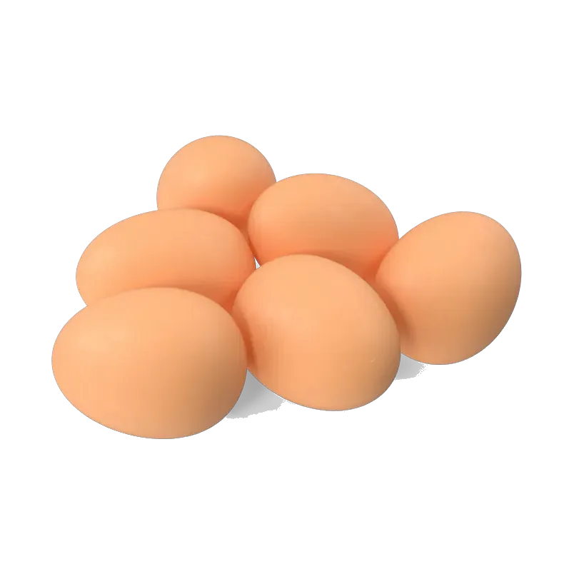 Fresh brown eggs