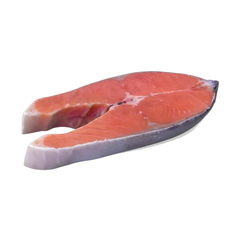 Raw salmon steak